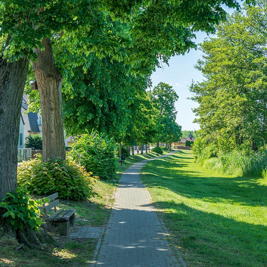 Grüner Weg für bessere Nachhaltigkeit